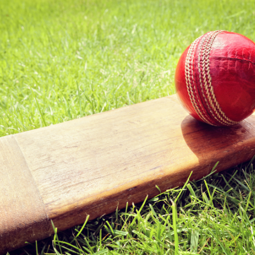 Cricket Bats