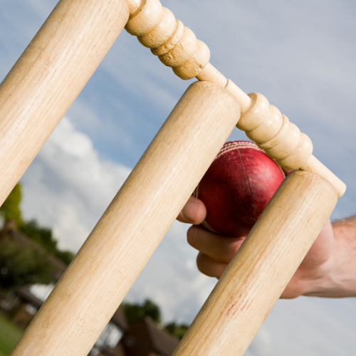 Cricket Stumps