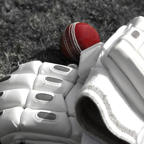 Cricket Gloves