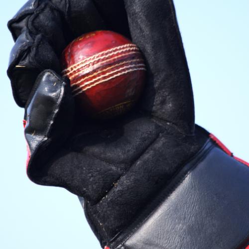 Cricket Wicket Keepers