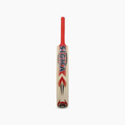 Buy Sigma Ambition Premium English Willow Cricket Bat-Cricket Bat-Sigma-Splay UK Online