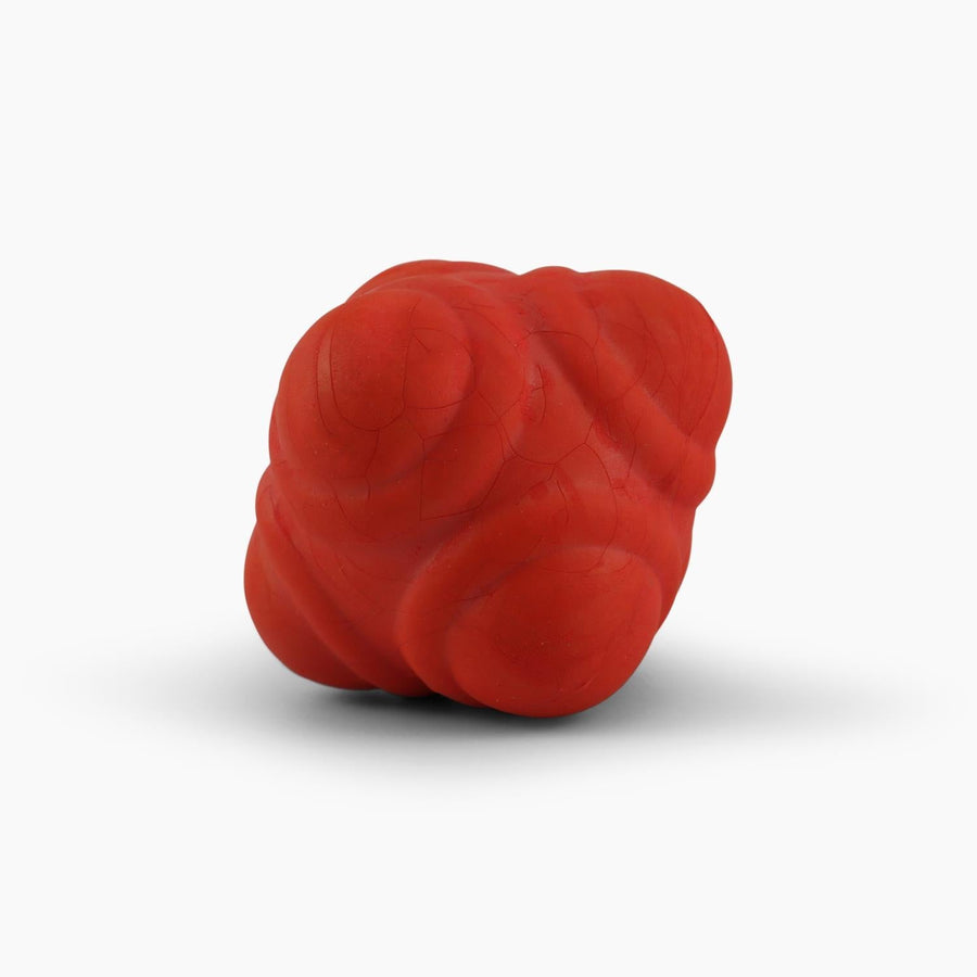 Buy Splay Six-Sided Cricket Reaction Ball – Small-Reaction Ball-Splay-Small-Red-Splay UK Online